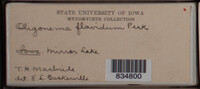 Image Associated With the Occurence